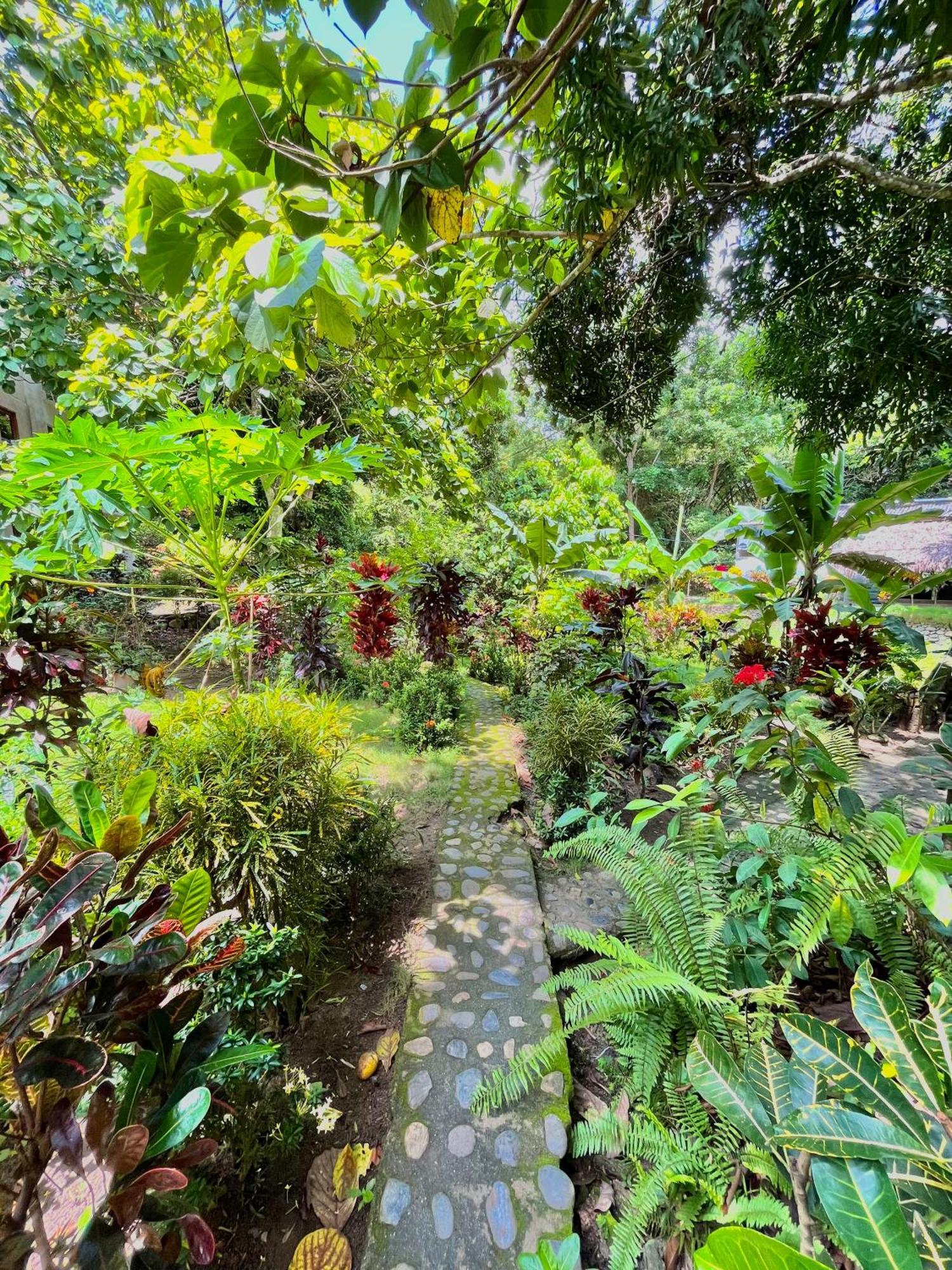 Santuario Tayrona Hostel Calabazo  Luaran gambar