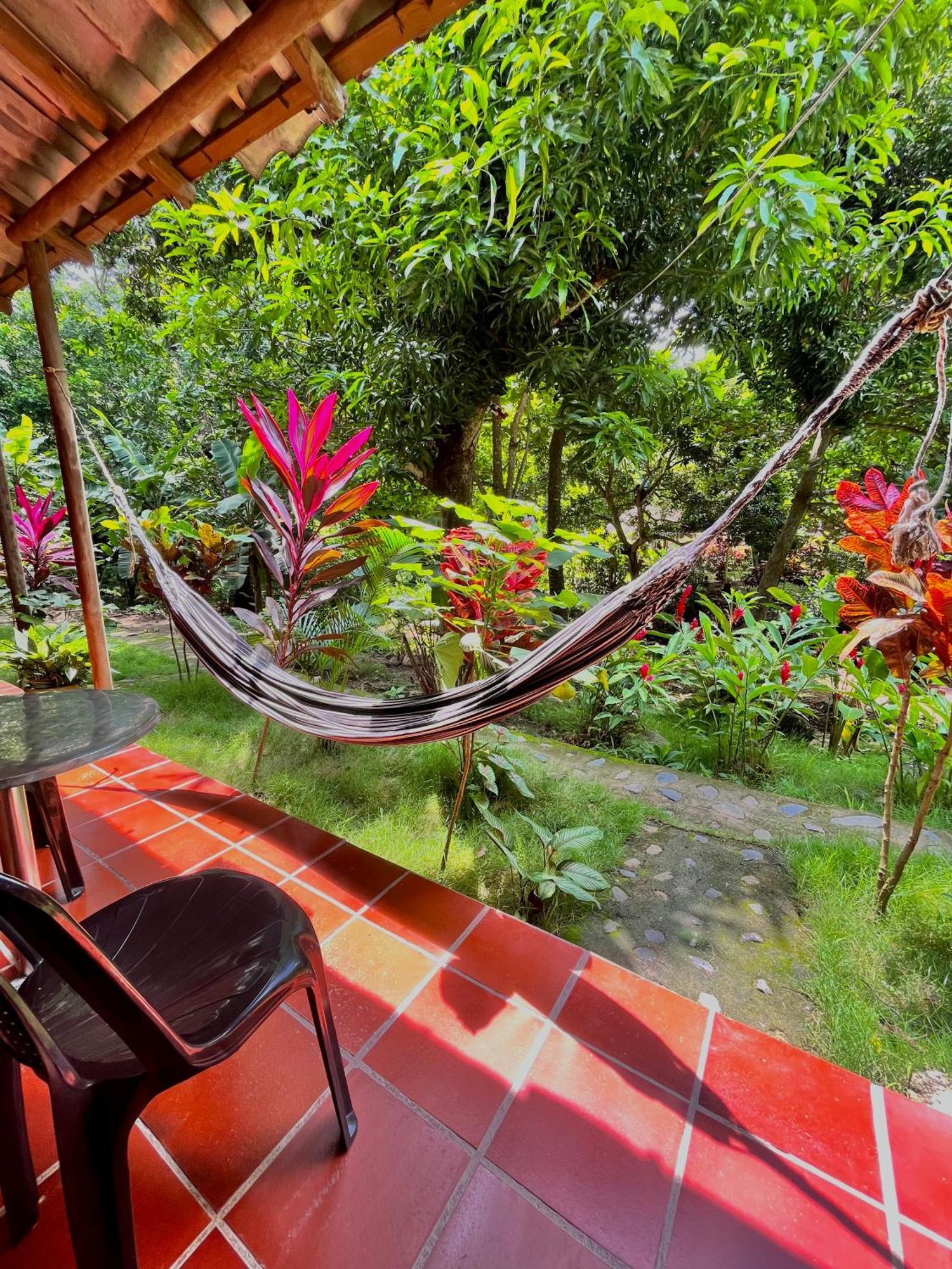 Santuario Tayrona Hostel Calabazo  Luaran gambar